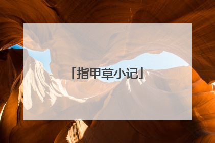 指甲草小记