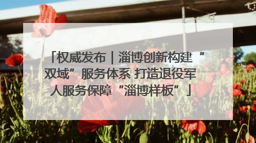 权威发布｜淄博创新构建“双域”服务体系 打造退役军人服务保障“淄博样板”