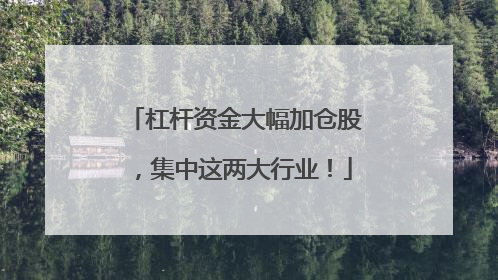 杠杆资金大幅加仓股，集中这两大行业！