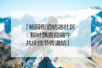 杨园街道纺器社区：粽叶飘香迎端午 共庆佳节传温情