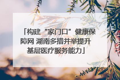 构建“家门口”健康保障网 湖南多措并举提升基层医疗服务能力