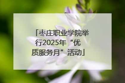 枣庄职业学院举行2025年“优质服务月”活动