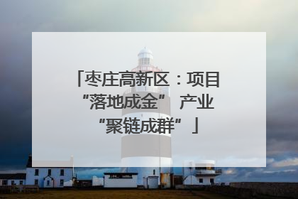 枣庄高新区：项目“落地成金” 产业“聚链成群”
