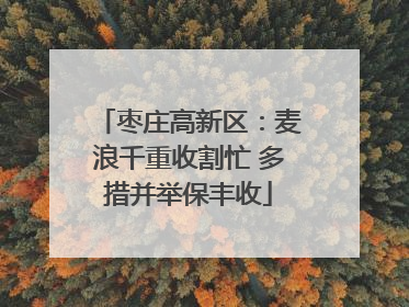 枣庄高新区：麦浪千重收割忙 多措并举保丰收