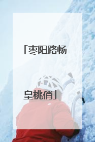 枣阳路畅皇桃俏
