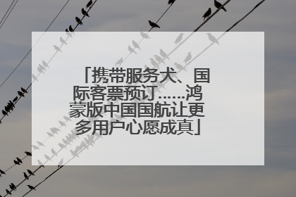 携带服务犬、国际客票预订……鸿蒙版中国国航让更多用户心愿成真