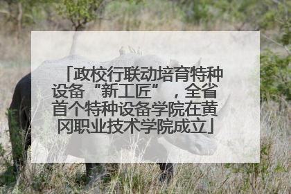政校行联动培育特种设备“新工匠”，全省首个特种设备学院在黄冈职业技术学院成立
