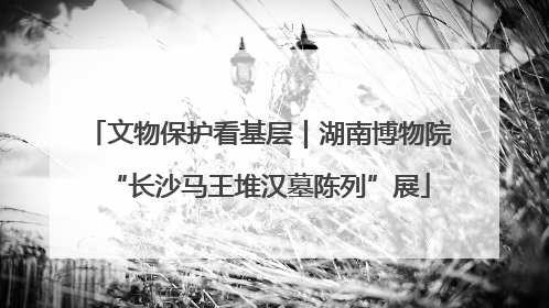 文物保护看基层｜湖南博物院“长沙马王堆汉墓陈列”展
