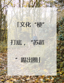 文化“梗”打底，“苏超”踢出圈