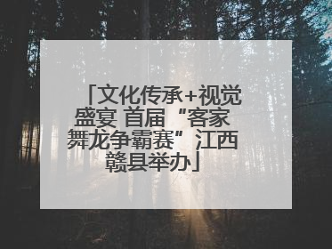 文化传承+视觉盛宴 首届“客家舞龙争霸赛”江西赣县举办