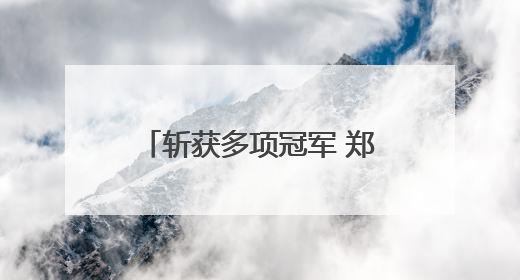 斩获多项冠军 郑州“小萌娃”出彩2025年全国幼儿手球嘉年华总站赛