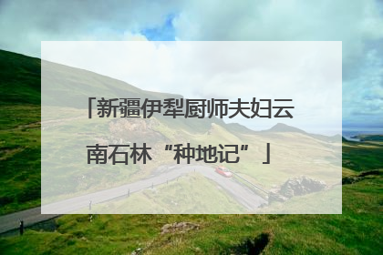 新疆伊犁厨师夫妇云南石林“种地记”