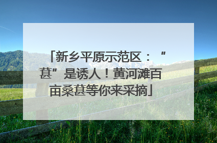 新乡平原示范区：“葚”是诱人！黄河滩百亩桑葚等你来采摘
