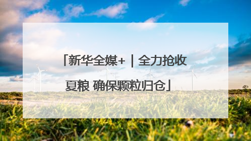 新华全媒+｜全力抢收夏粮 确保颗粒归仓