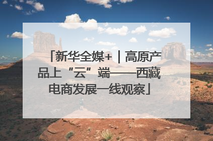 新华全媒+｜高原产品上“云”端——西藏电商发展一线观察