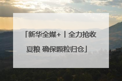新华全媒+丨全力抢收夏粮 确保颗粒归仓