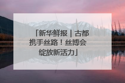 新华鲜报｜古都携手丝路！丝博会绽放新活力