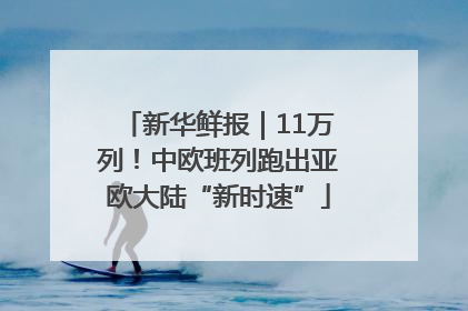 新华鲜报｜11万列！中欧班列跑出亚欧大陆“新时速”