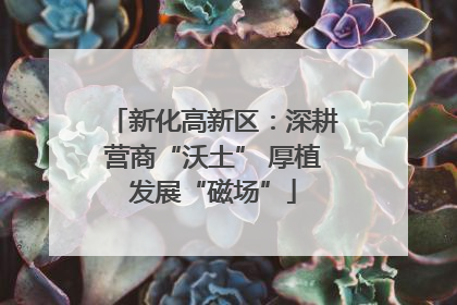 新化高新区：深耕营商“沃土” 厚植发展“磁场”