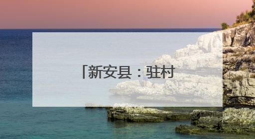新安县：驻村书记助力“三夏”抢收抢种