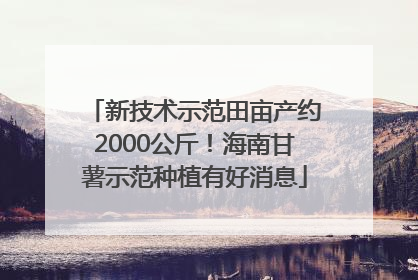 新技术示范田亩产约2000公斤！海南甘薯示范种植有好消息