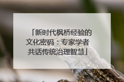 新时代枫桥经验的文化密码：专家学者共话传统治理智慧