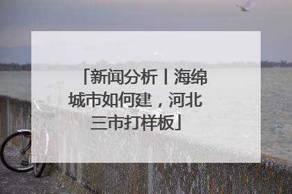 新闻分析丨海绵城市如何建，河北三市打样板