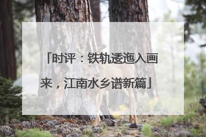 时评：铁轨逶迤入画来，江南水乡谱新篇