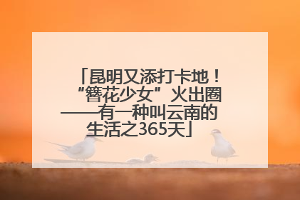 昆明又添打卡地！“簪花少女”火出圈——有一种叫云南的生活之365天