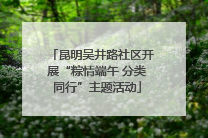 昆明吴井路社区开展“粽情端午 分类同行”主题活动
