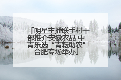 明星主播联手村干部推介安徽农品 中青乐选“青耘助农”合肥专场举办
