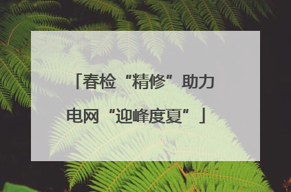 春检“精修”助力电网“迎峰度夏”