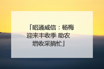 昭通威信：杨梅迎来丰收季 助农增收采摘忙