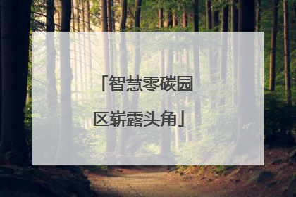 智慧零碳园区崭露头角