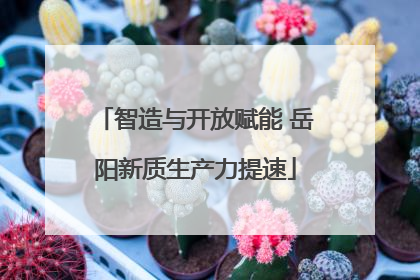 智造与开放赋能 岳阳新质生产力提速