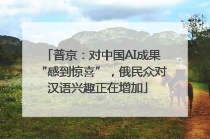 普京：对中国AI成果“感到惊喜”，俄民众对汉语兴趣正在增加