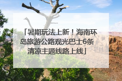 暑期玩法上新！海南环岛旅游公路观光巴士6条清凉主题线路上线