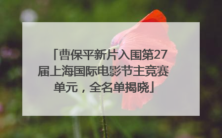 曹保平新片入围第27届上海国际电影节主竞赛单元，全名单揭晓
