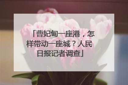 曹妃甸一座港，怎样带动一座城？人民日报记者调查