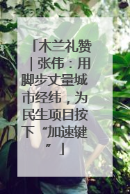 木兰礼赞｜张伟：用脚步丈量城市经纬，为民生项目按下“加速键”