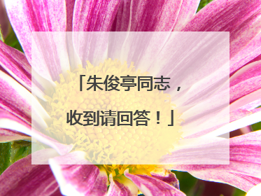 朱俊亭同志，收到请回答！