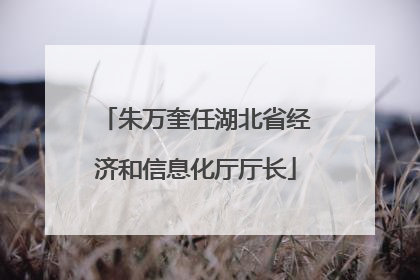 朱万奎任湖北省经济和信息化厅厅长