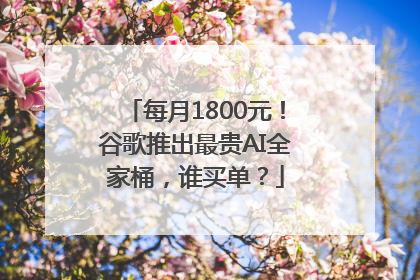 每月1800元！谷歌推出最贵AI全家桶，谁买单？