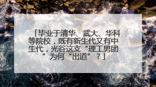 毕业于清华、武大、华科等院校，既有新生代又有中生代，光谷这支“理工男团”为何“出道”？