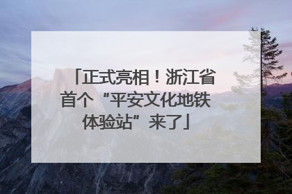 正式亮相！浙江省首个“平安文化地铁体验站”来了