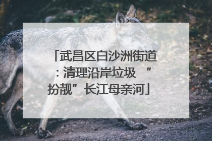 武昌区白沙洲街道：清理沿岸垃圾 “扮靓”长江母亲河