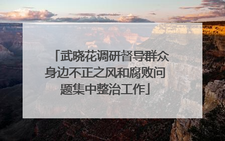 武晓花调研督导群众身边不正之风和腐败问题集中整治工作