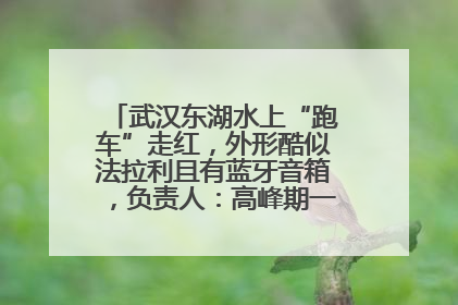 武汉东湖水上“跑车”走红，外形酷似法拉利且有蓝牙音箱，负责人：高峰期一两百人排队