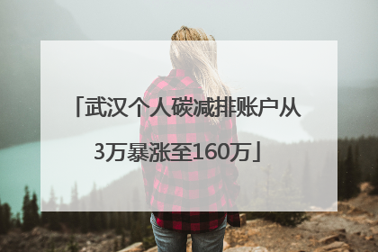 武汉个人碳减排账户从3万暴涨至160万