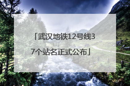 武汉地铁12号线37个站名正式公布